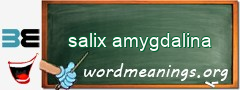 WordMeaning blackboard for salix amygdalina